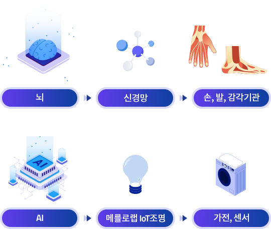 메를로랩 IoT